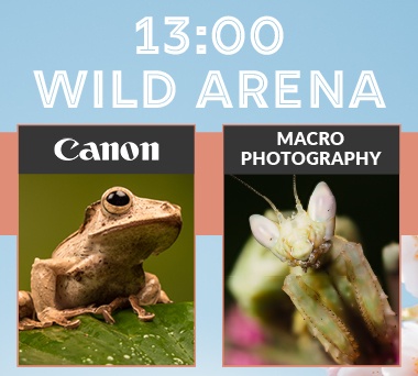 1pm - CANON - Macro Photography 1pm - CANON - Macro Photography